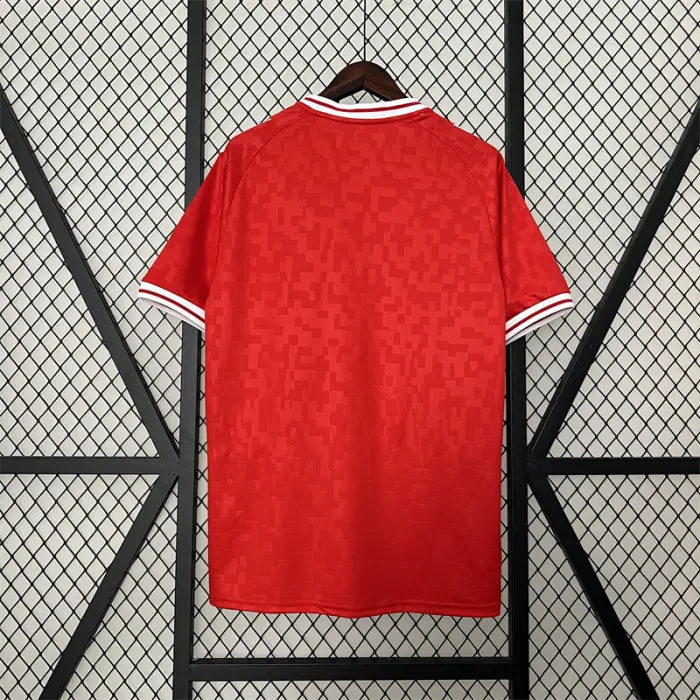 2024/25 Denmark Home Shirt