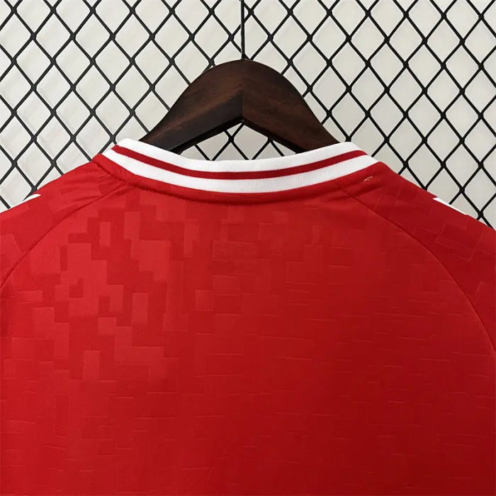 2024/25 Denmark Home Shirt